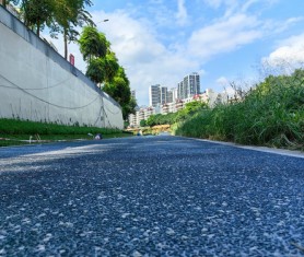 龍崗河萬里碧道—露骨料項目